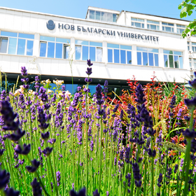 1811685_280x280_crop_478b24840a