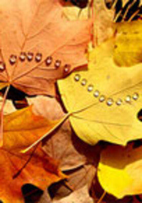 box1_280x400_crop_478b24840a