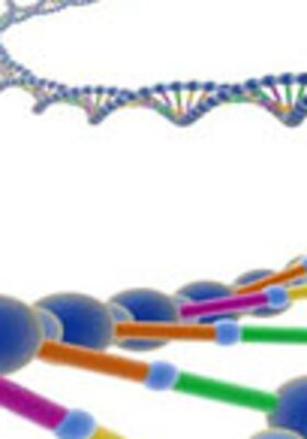 box3_280x400_crop_478b24840a