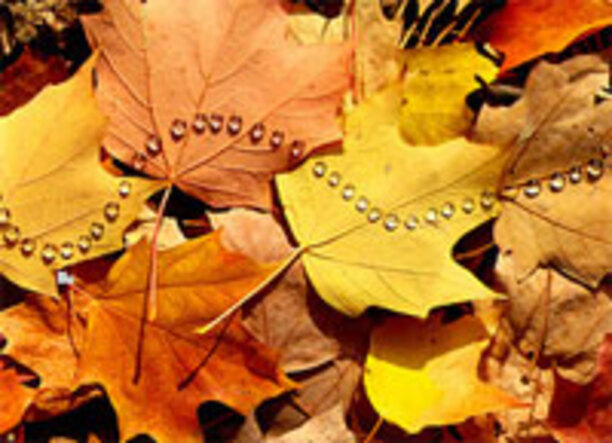 box1_612x830_fit_478b24840a