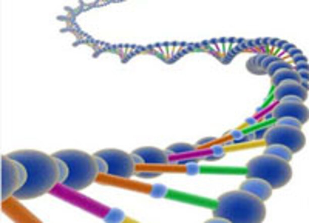 box3_612x830_fit_478b24840a