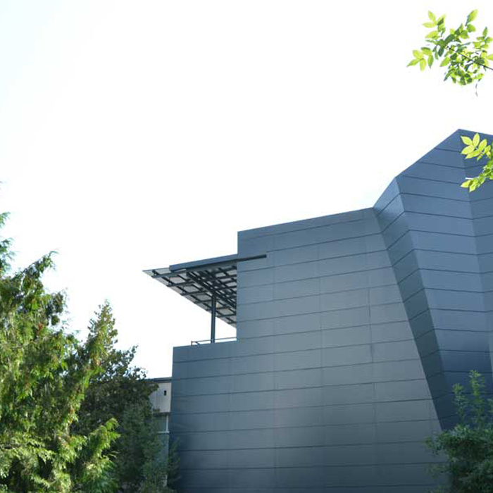 dsc-4595-copy_700x700_crop_478b24840a