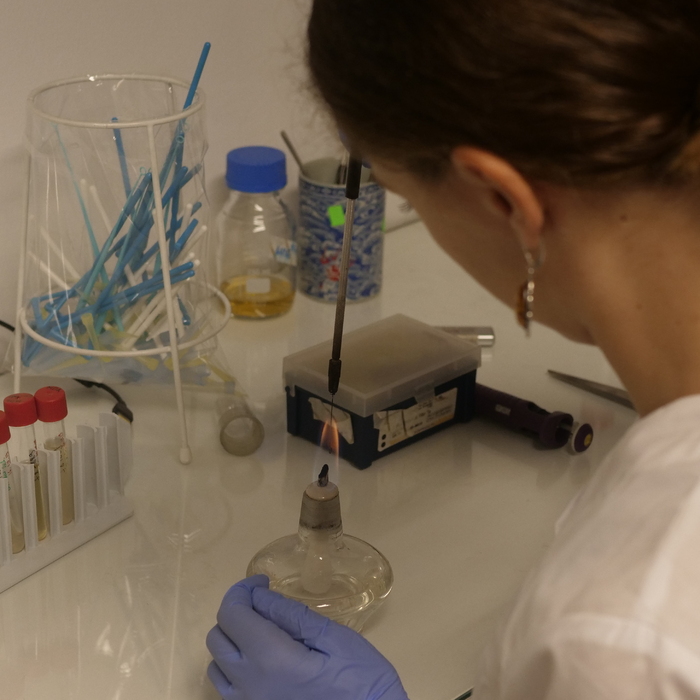 1500620_700x700_crop_478b24840a