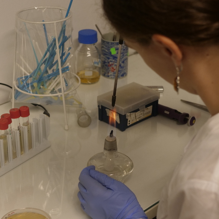 1500627_700x700_crop_478b24840a